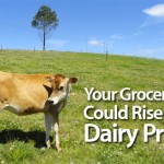 grocery-bill-dairy-prices