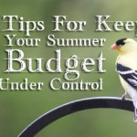 tips for summer budgeting