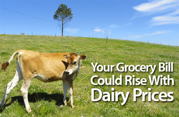 grocery-bill-dairy-prices